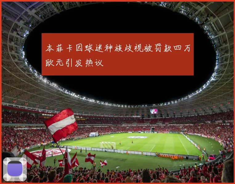 本菲卡因球迷种族歧视被罚款四万欧元引发热议